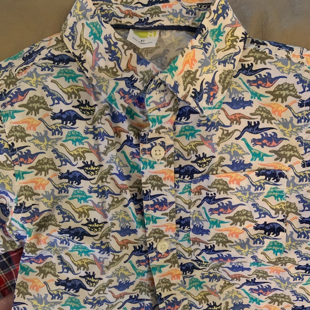 Crazy 8 dinosaur button down